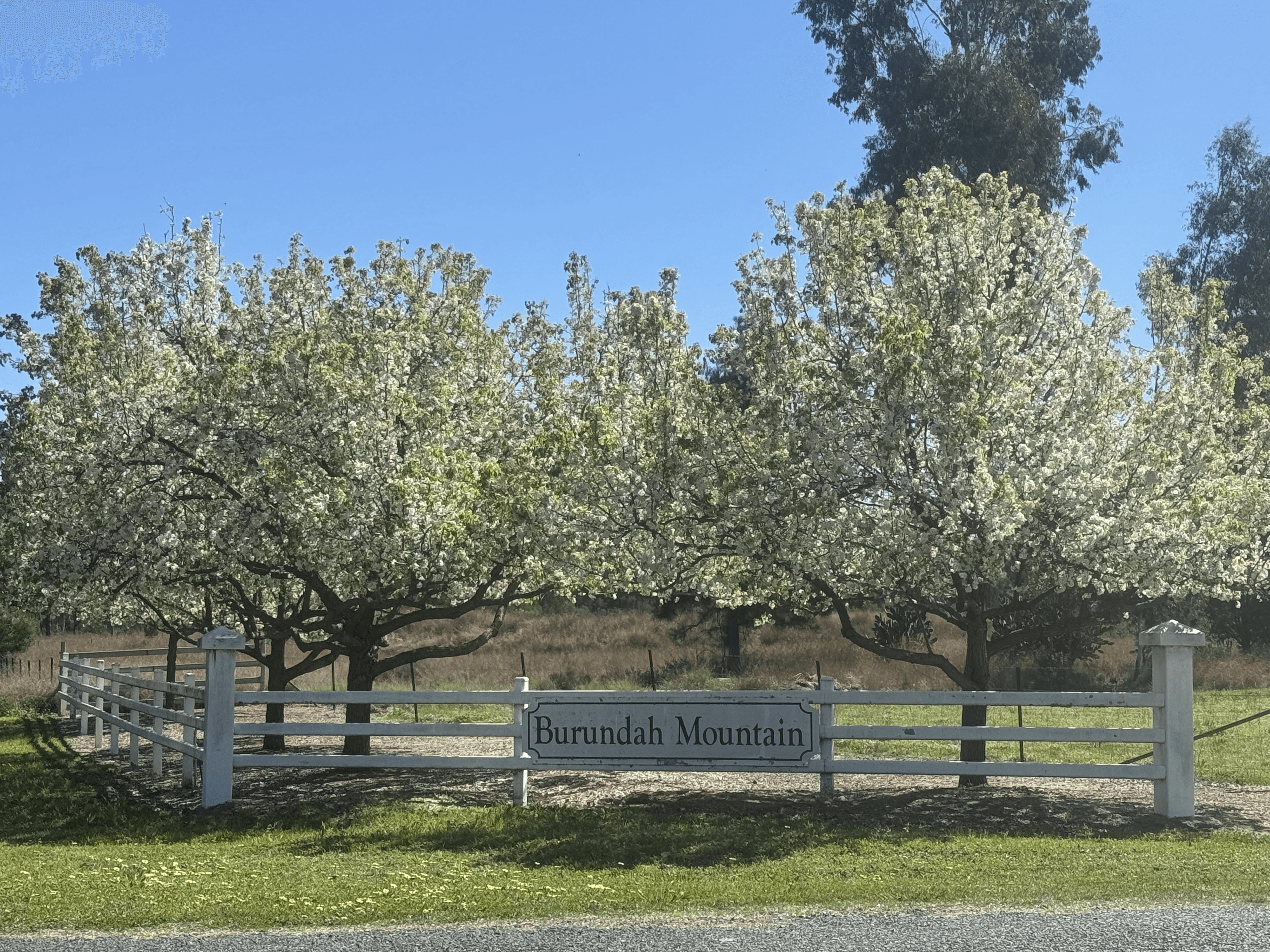 3 Acacia Crescent, Warialda, NSW 2402