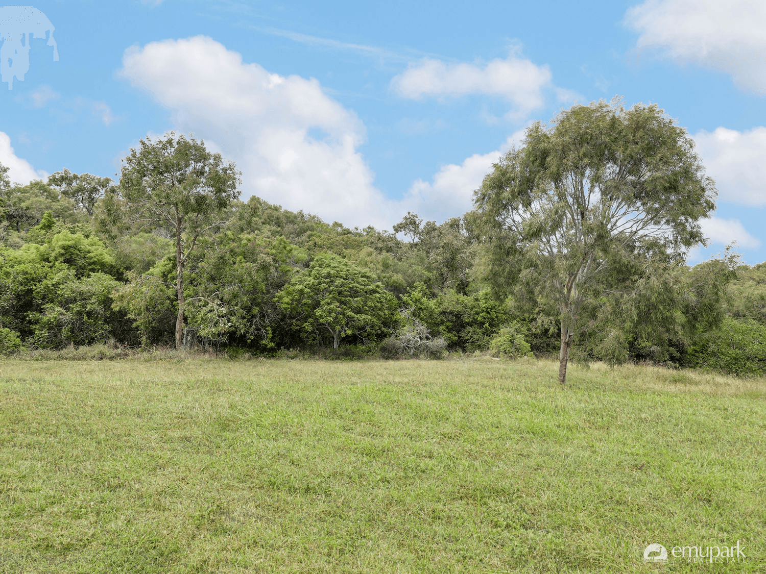 5 Woodland Place, ZILZIE, QLD 4710