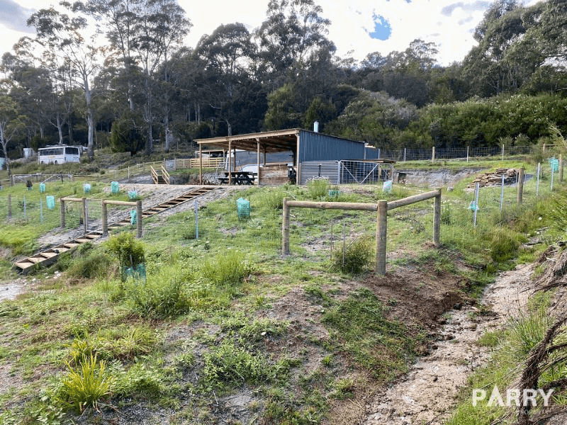 24 Main Road, PIONEER, TAS 7264