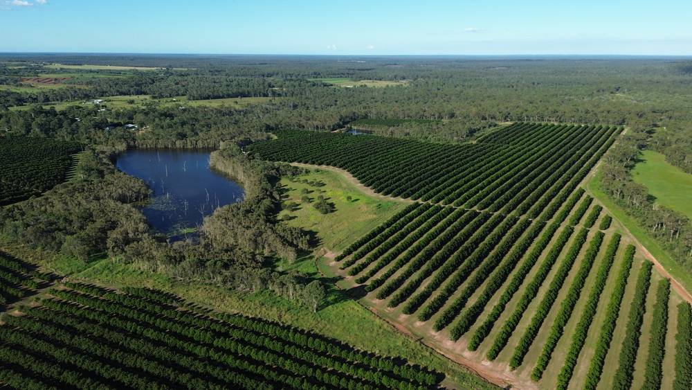 Lot 21 Butchers Road, SOUTH ISIS, QLD 4660