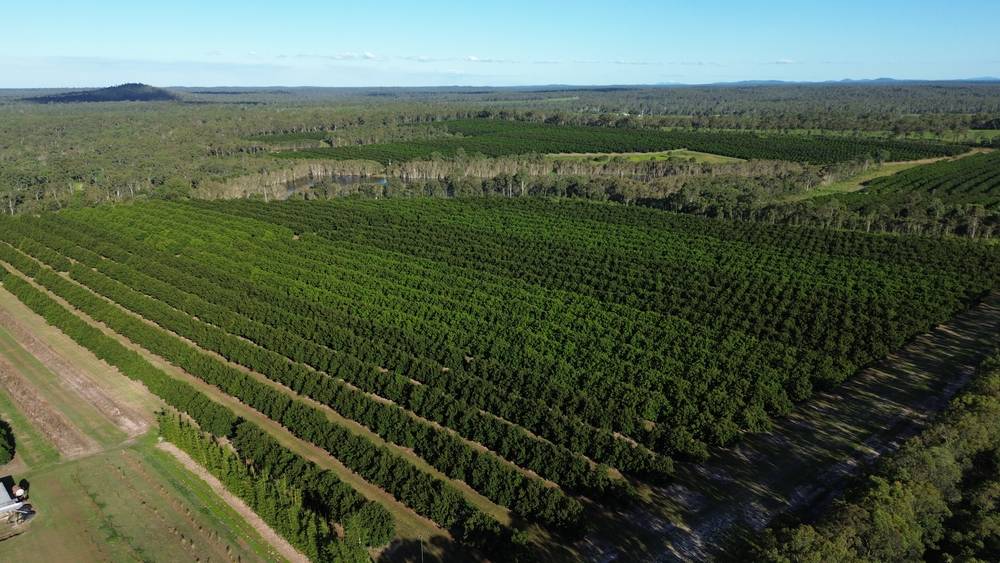 Lot 21 Butchers Road, SOUTH ISIS, QLD 4660