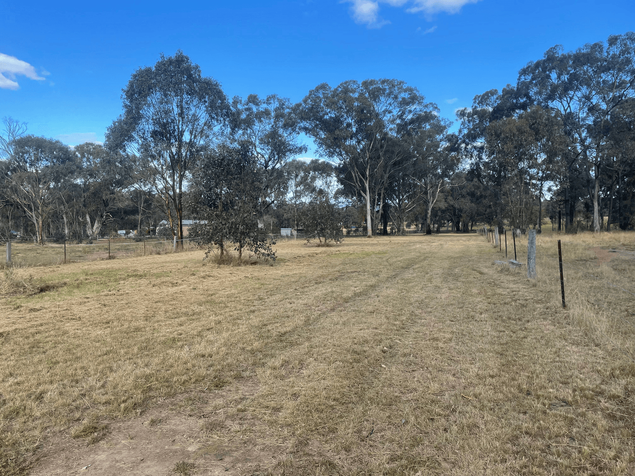 Honeyeater Close, DENMAN, NSW 2328