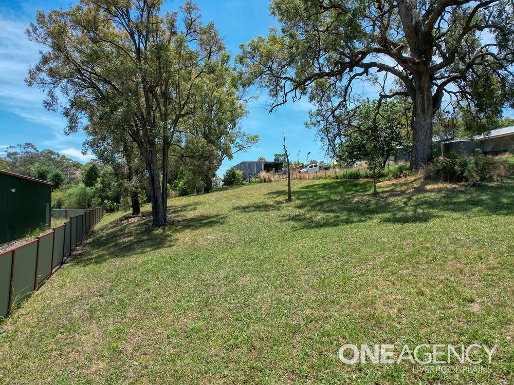 5 Fairbairn Street, WILLOW TREE, NSW 2339