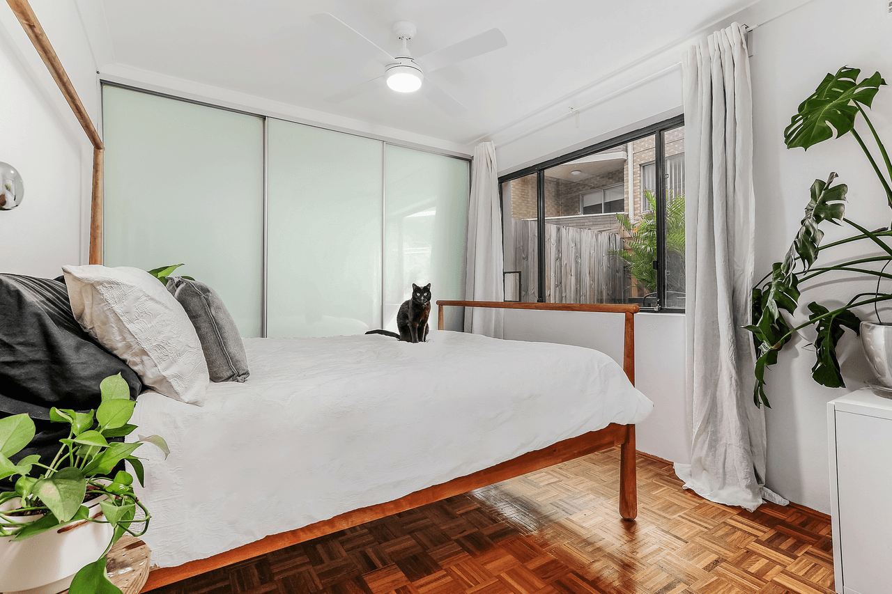 8/56A Cambridge Street, Stanmore, NSW 2048