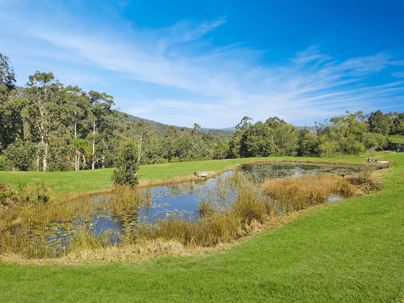 2389 Orara Way, GLENREAGH, NSW 2450