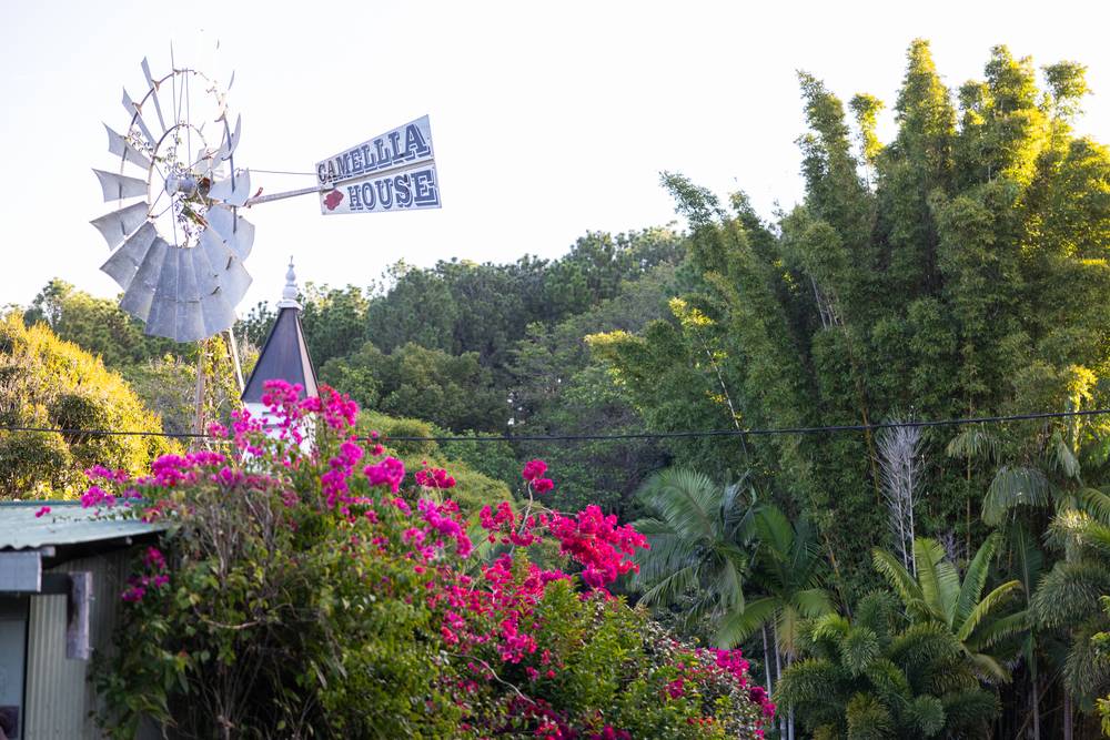 116 Woombye Palmwoods Rd, PALMWOODS, QLD 4555