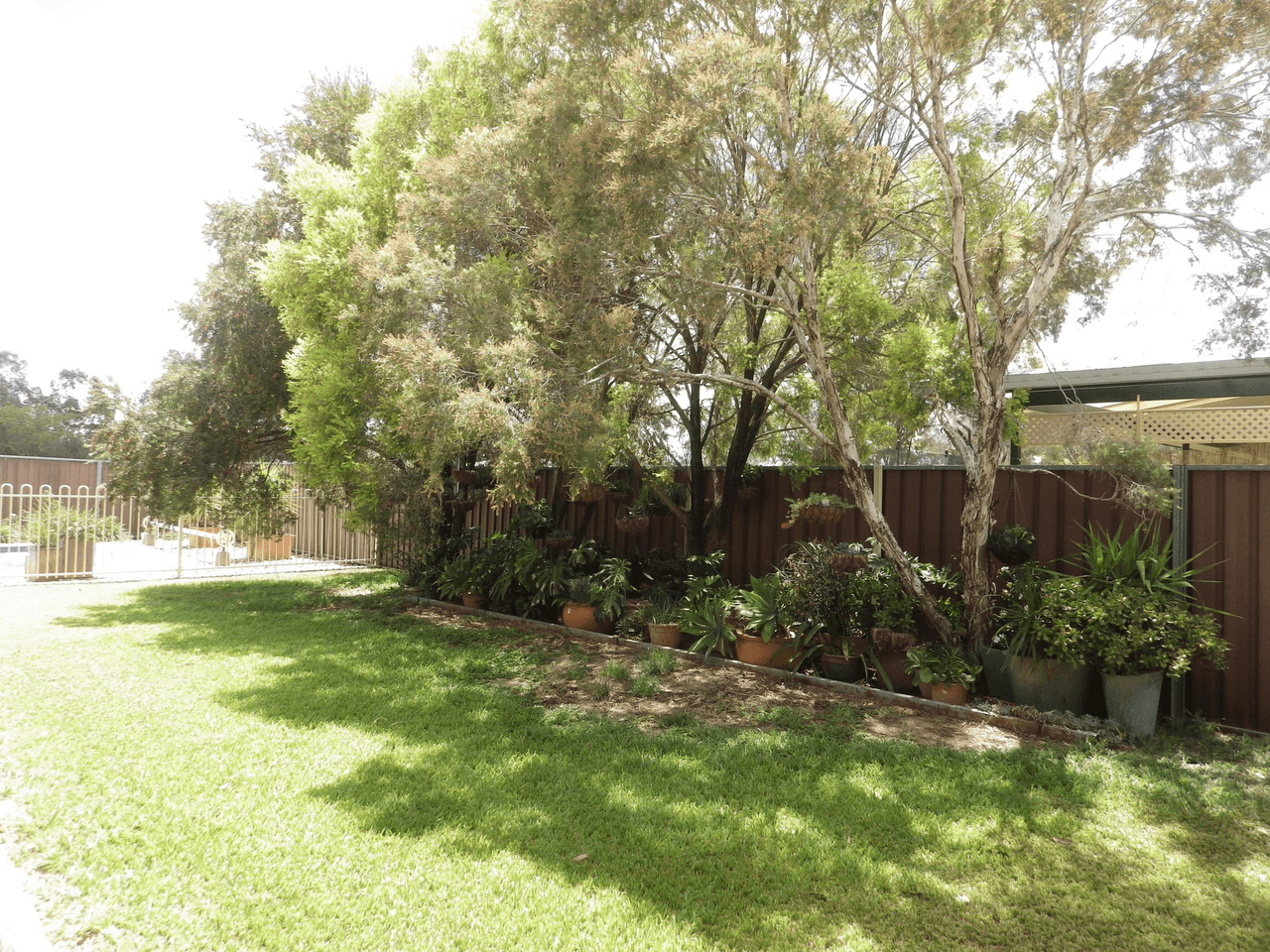 15 Everingham Avenue, ROMA, QLD 4455