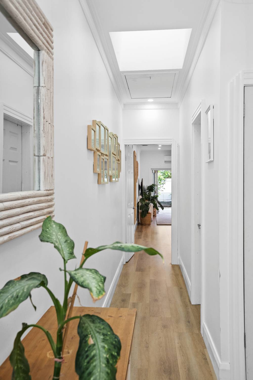 56 Robey Street, MAROUBRA, NSW 2035