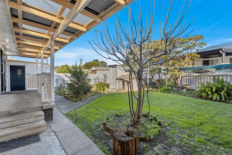 12 Thomas Street, LAKE ILLAWARRA, NSW 2528