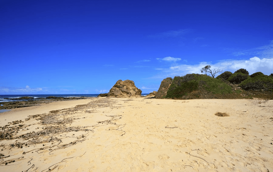 LOT 258 SWORDFISH DRIVE, VALLA BEACH, NSW 2448