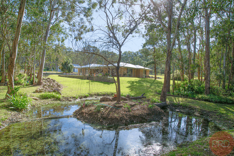 32 Hollingshed Street, GRETA, NSW 2334