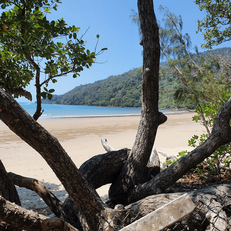 178 Cedar Road, Cow Bay, DAINTREE, QLD 4873