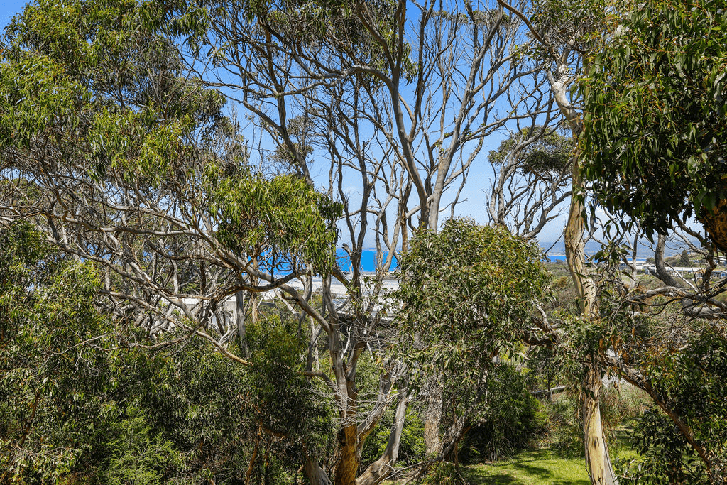 12 Treetops Terrace, SKENES CREEK, VIC 3233