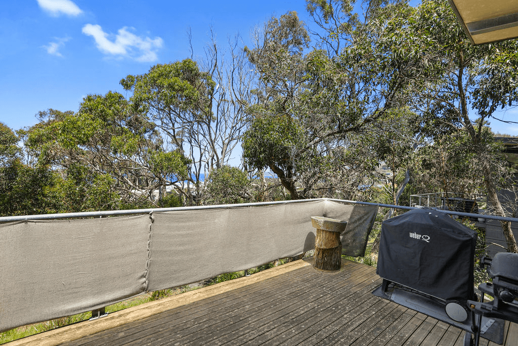 12 Treetops Terrace, SKENES CREEK, VIC 3233