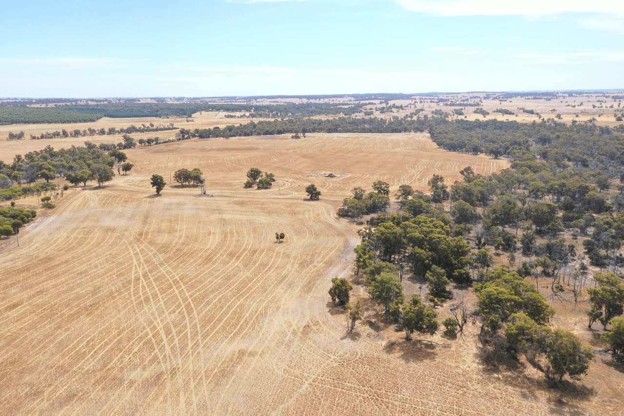 317 GORN Road, MOKUP, WA 6394