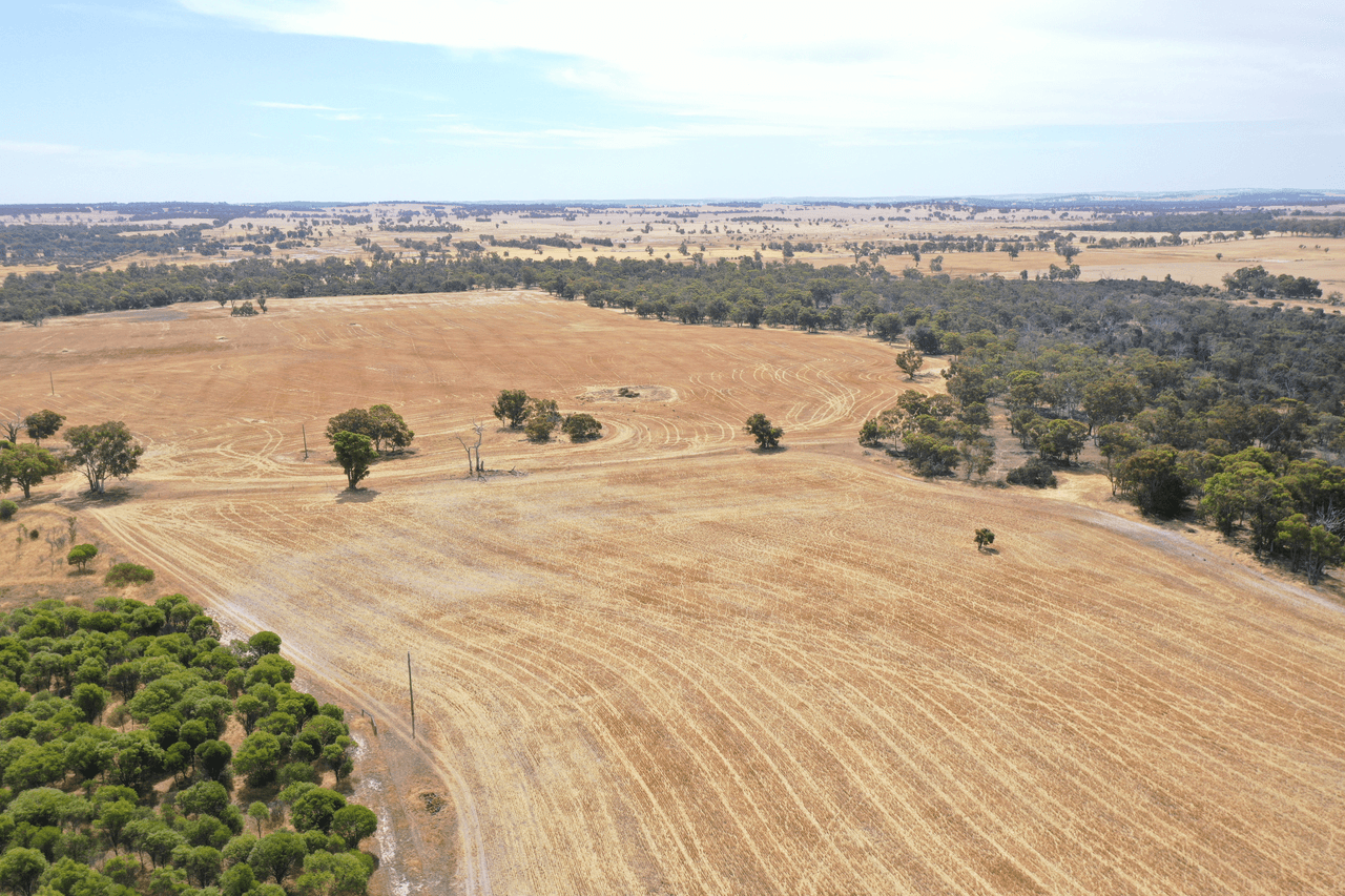 317 GORN Road, MOKUP, WA 6394