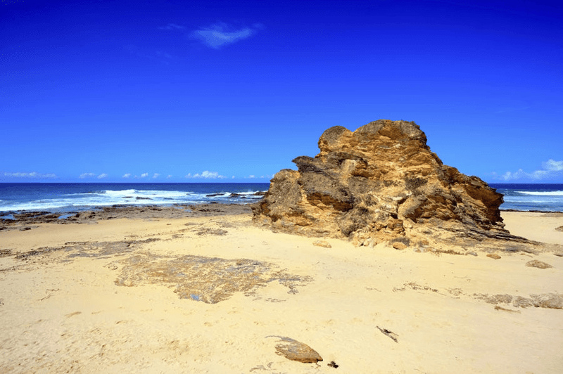 LOT 261 SWORDFISH DRIVE, VALLA BEACH, NSW 2448