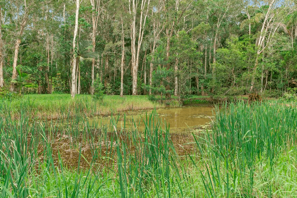 252 Coonowrin Road, GLASS HOUSE MOUNTAINS, QLD 4518