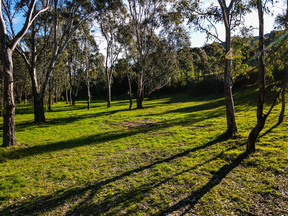 890 TELEGRAPH ROAD, SEYMOUR, VIC 3660