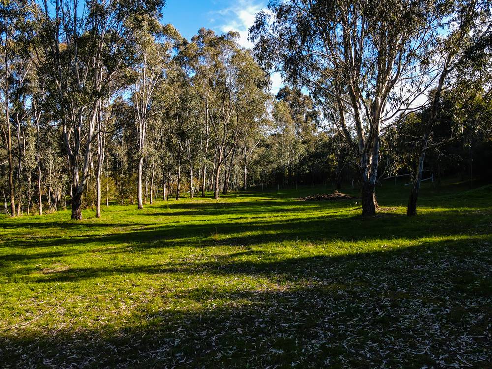 890 TELEGRAPH ROAD, SEYMOUR, VIC 3660