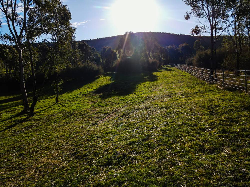 890 TELEGRAPH ROAD, SEYMOUR, VIC 3660