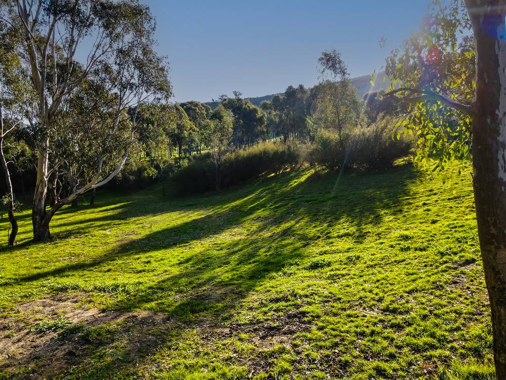 890 TELEGRAPH ROAD, SEYMOUR, VIC 3660