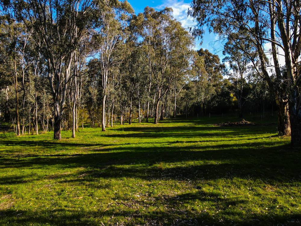 890 TELEGRAPH ROAD, SEYMOUR, VIC 3660
