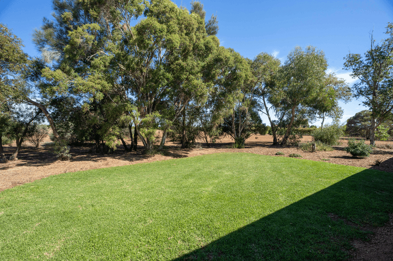 267 Gaskell Road, BARMERA, SA 5345