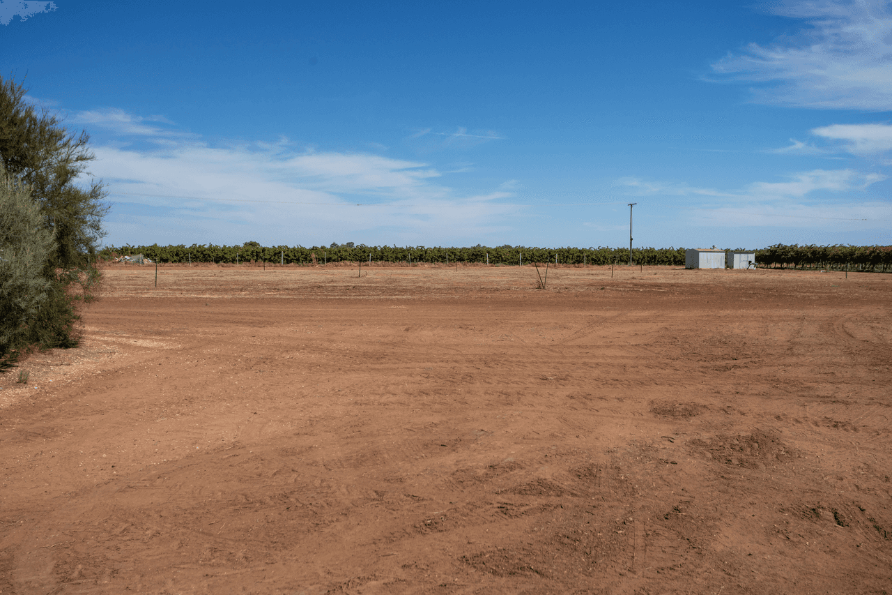 267 Gaskell Road, BARMERA, SA 5345