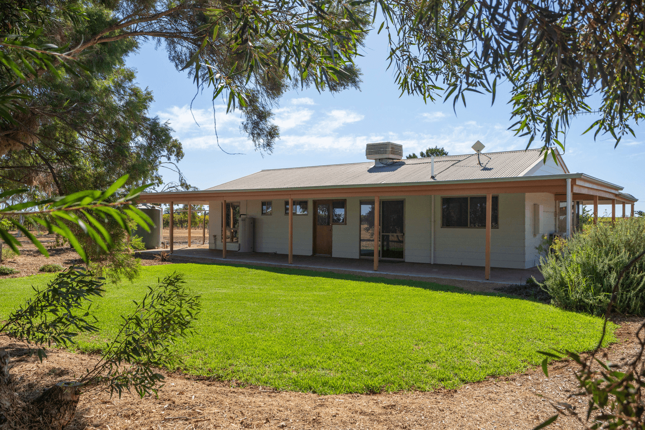 267 Gaskell Road, BARMERA, SA 5345