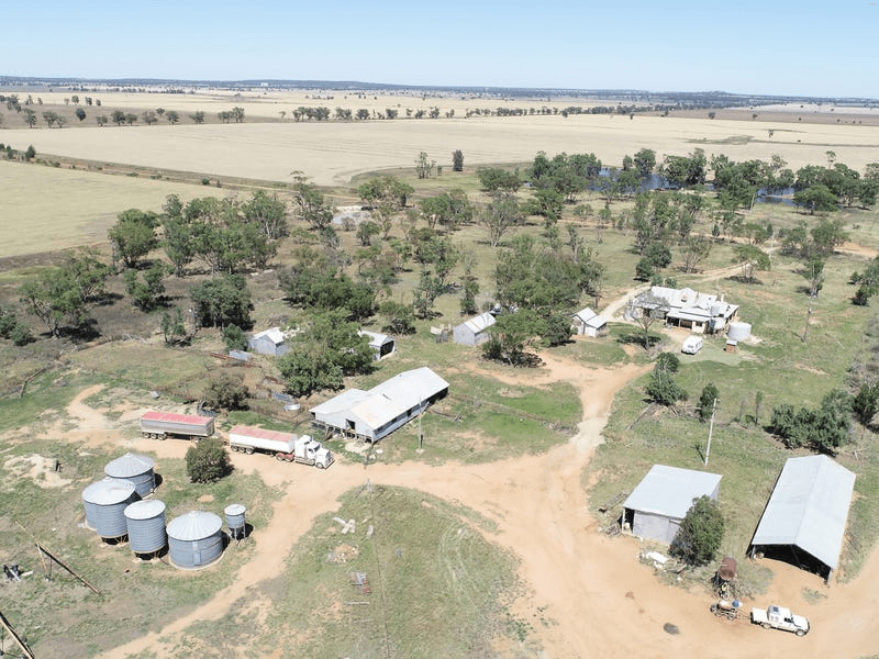 548 Cunningtons Lane, WEST WYALONG, NSW 2671