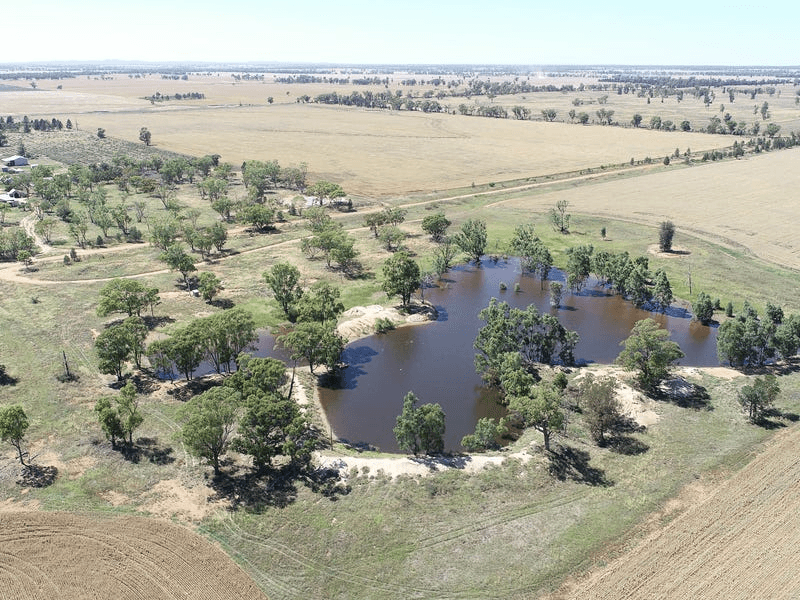 548 Cunningtons Lane, WEST WYALONG, NSW 2671