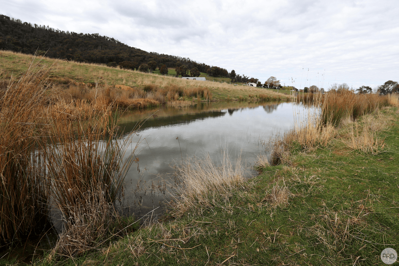 518 Batlow Road, TUMBARUMBA, NSW 2653