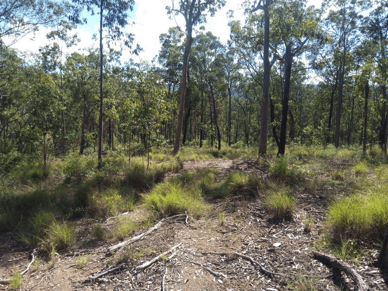 10 Paddys Flat Road, Tabulam, NSW 2469