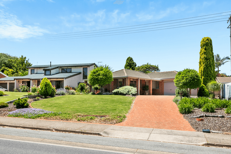 37 Hamilton Road, FAIRVIEW PARK, SA 5126