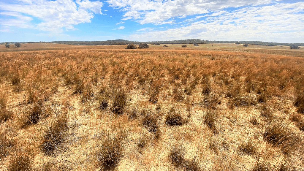 737 Blackett Road, PARRAKIE, SA 5301