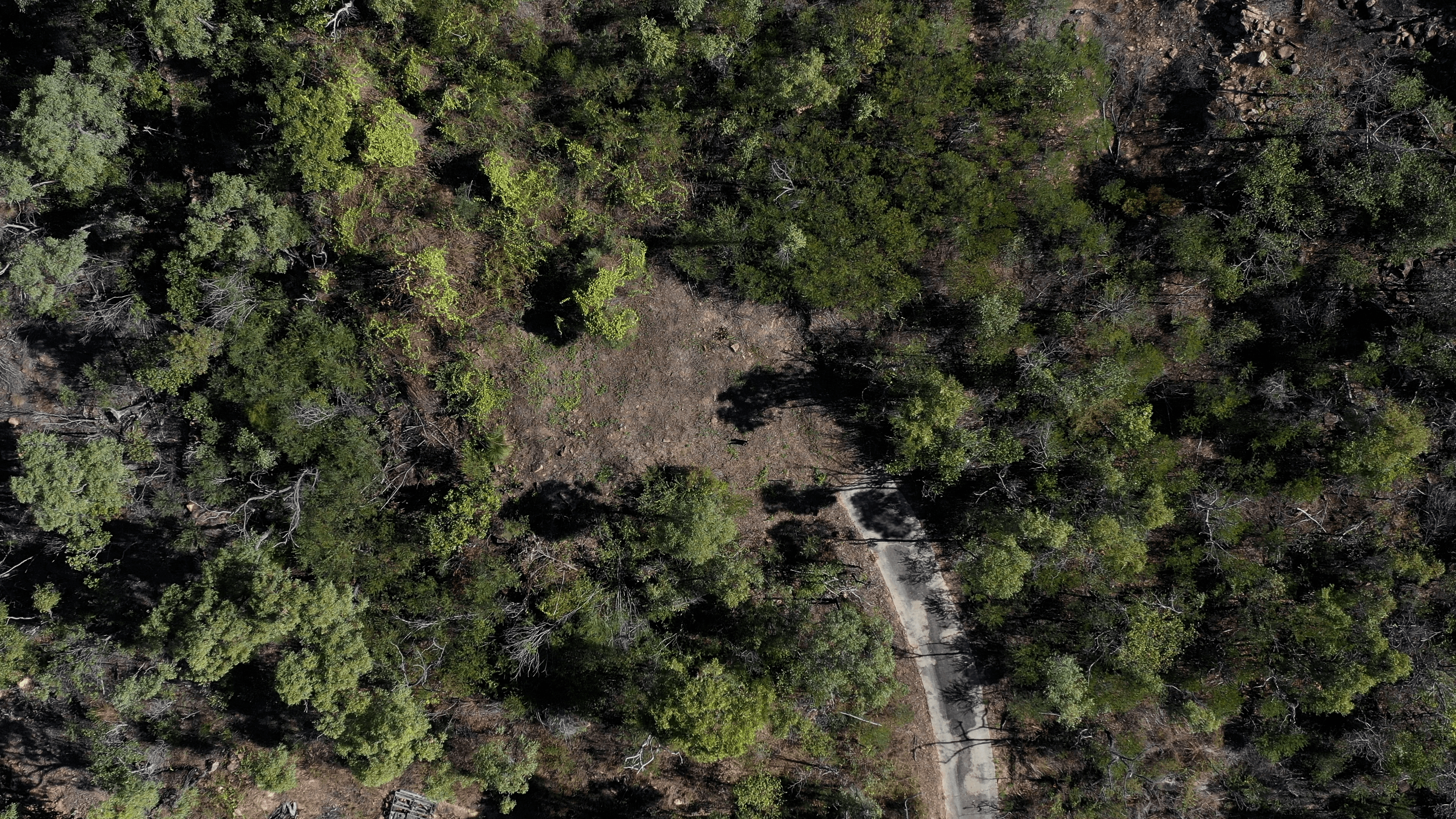113 Gloucester Avenue, HIDEAWAY BAY, QLD 4800