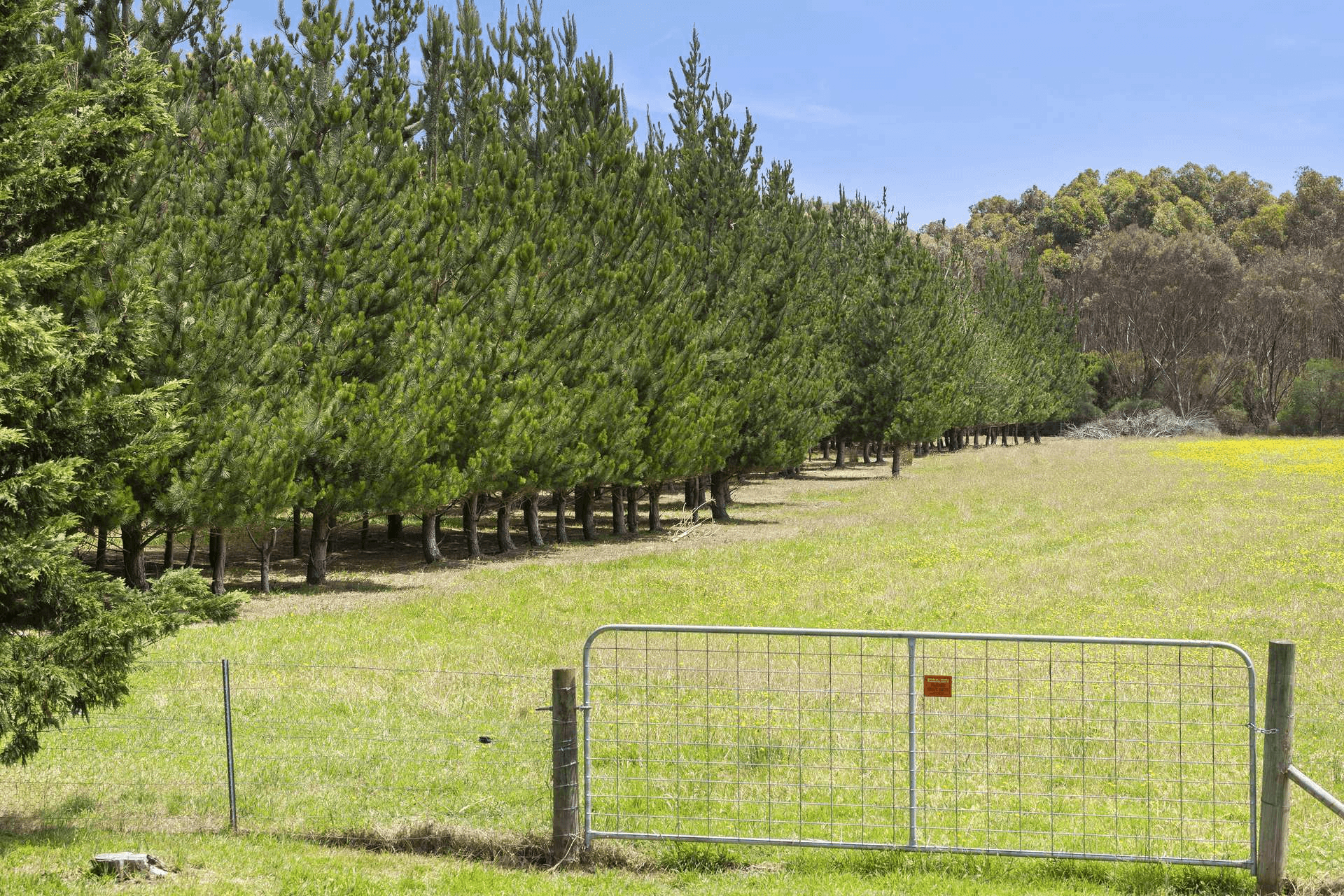 300 Cape Otway Road, Moriac, VIC 3240