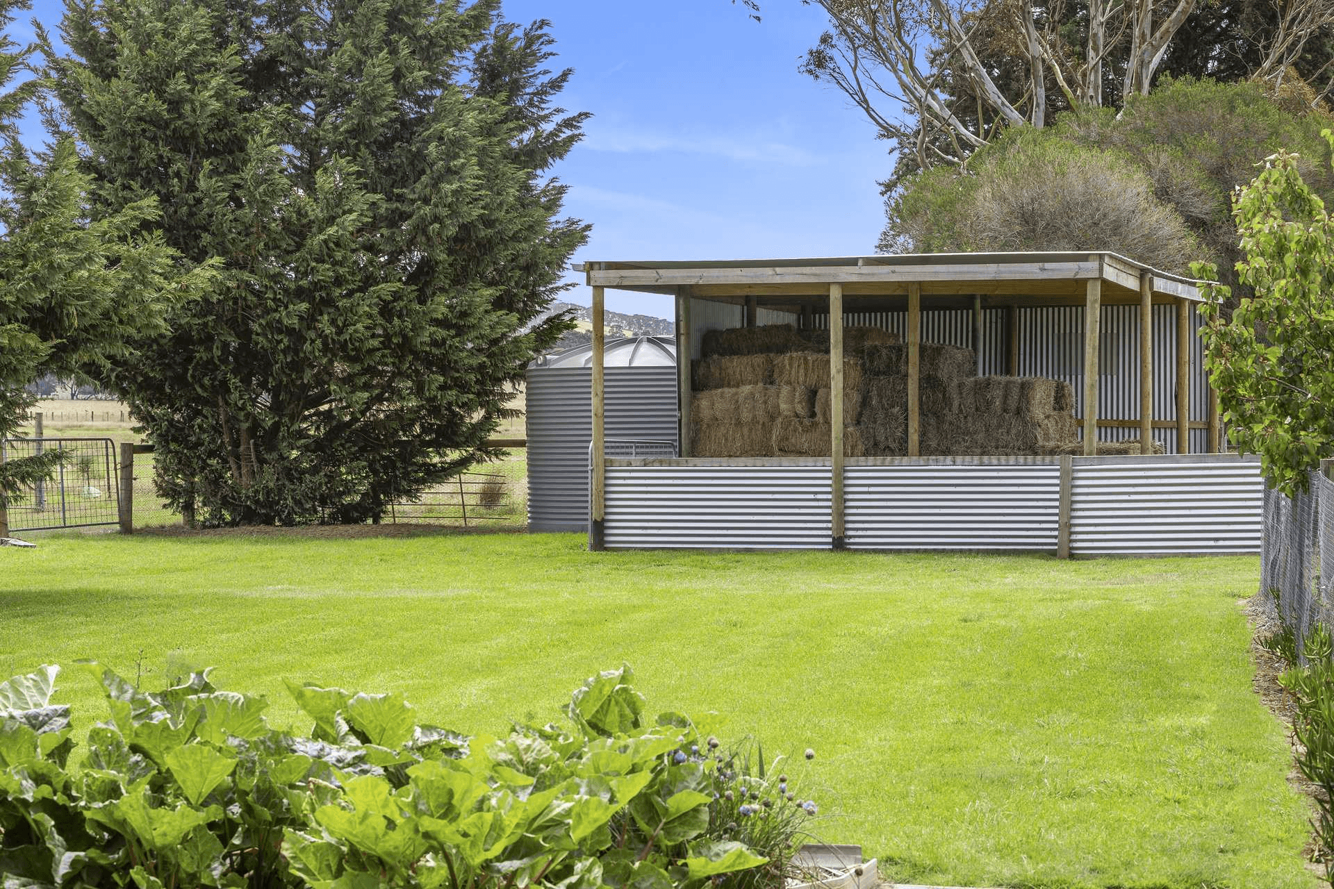 300 Cape Otway Road, Moriac, VIC 3240