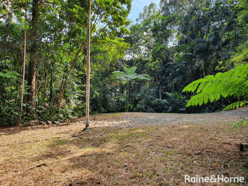 132 George Road, FOREST CREEK, DAINTREE, QLD 4873