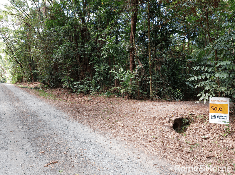 132 George Road, FOREST CREEK, DAINTREE, QLD 4873