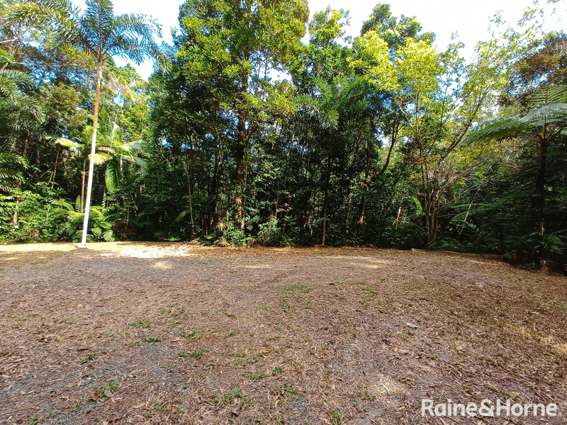 132 George Road, FOREST CREEK, DAINTREE, QLD 4873