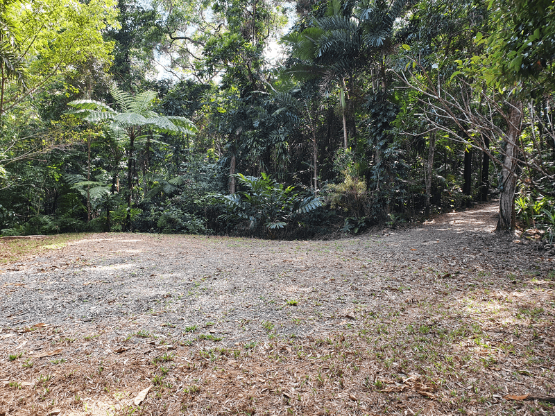 132 George Road, FOREST CREEK, DAINTREE, QLD 4873