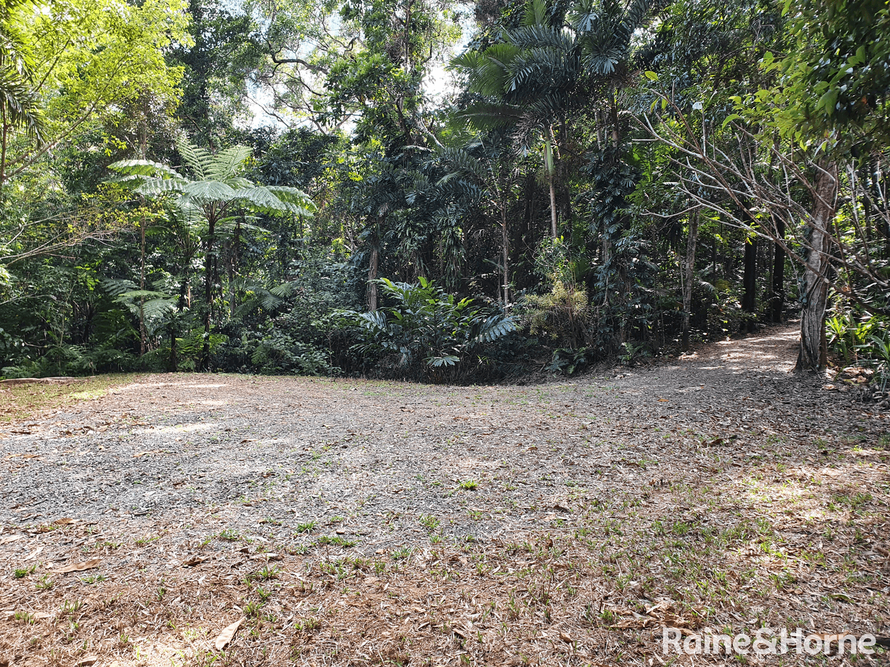 132 George Road, FOREST CREEK, DAINTREE, QLD 4873