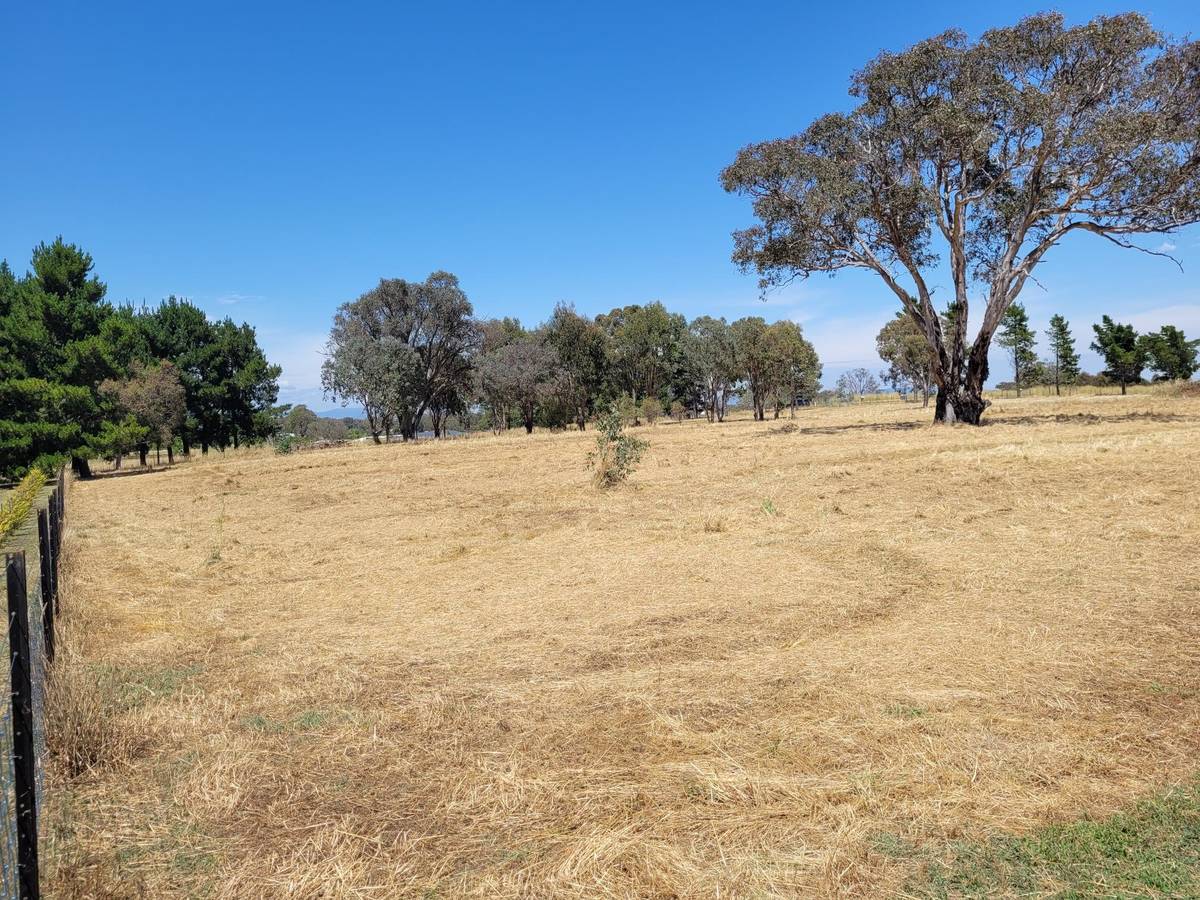 3 Grosvenor Close, Murrumbateman, NSW 2582 | Realty.com.au