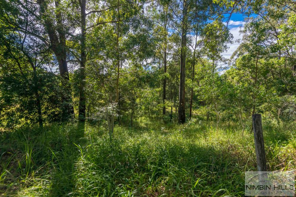 65 Old Tweed Road, WADEVILLE, NSW 2474
