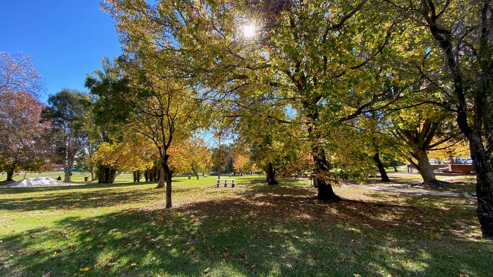 Prop Lots/98 Lawnbrook Road West, Walliston, WA 6076
