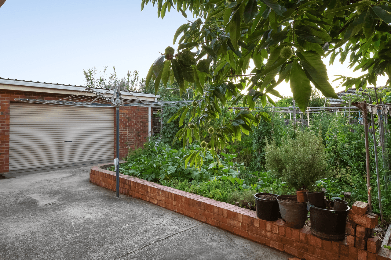 3 Dowling Street, FAWKNER, VIC 3060