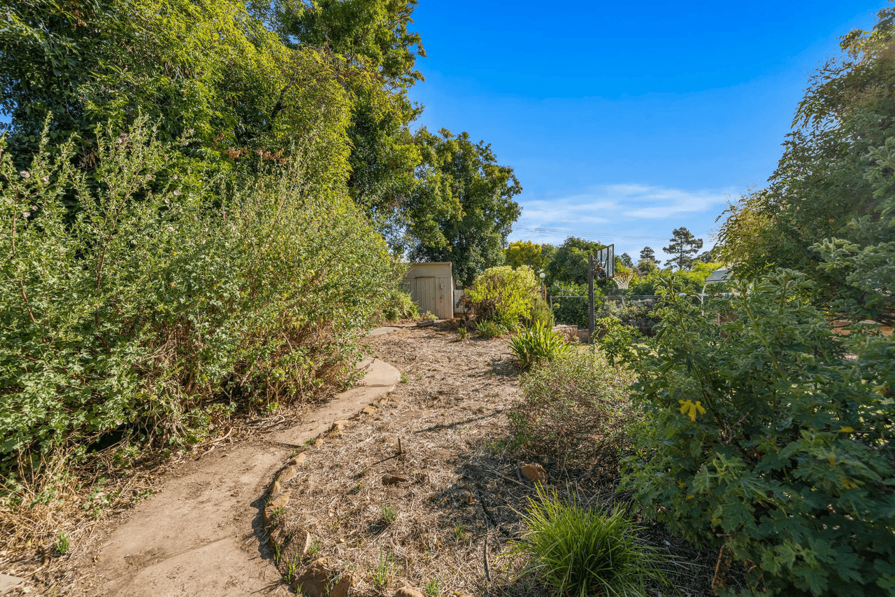 35 Gramp Avenue, Angaston, SA 5353