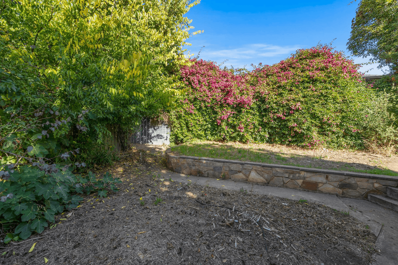 35 Gramp Avenue, Angaston, SA 5353